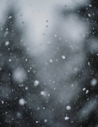 Similar image 22464459