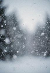 Similar image 22464473