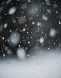 Similar image 22464488