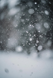 Similar image 22468613