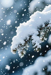 Similar image 22468642