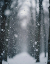 Similar image 22402597