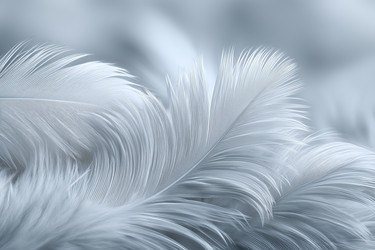 Similar image 22456404