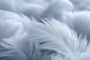 Similar image 22473791