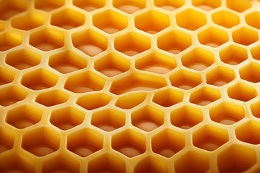 Similar image 22456391