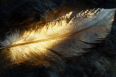 Similar image 22421541