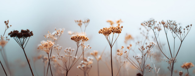 Similar image 22421555