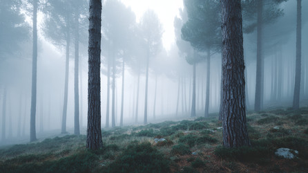 Similar image 22421564