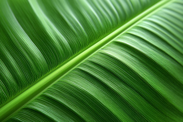 Similar image 22456339