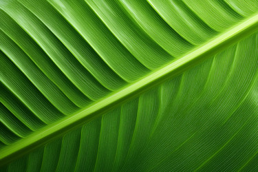 Similar image 22456370