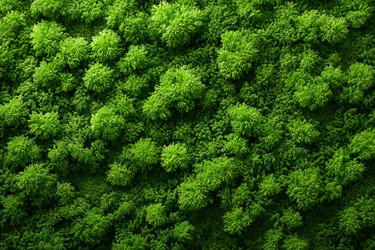 Similar image 22456411