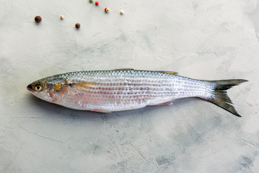 Similar image 22460913