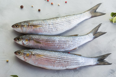 Similar image 22460914