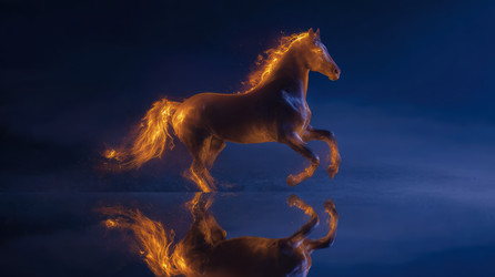 Similar image 22421594