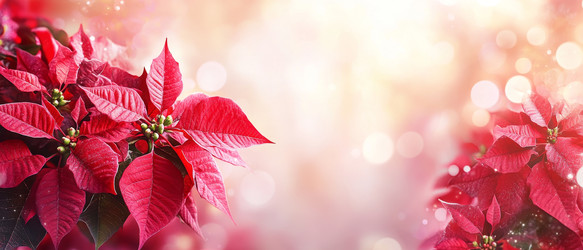 Similar image 22421681