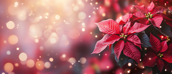 Similar image 22421682