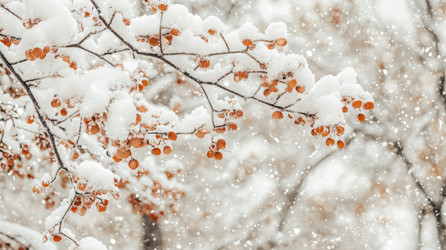 Similar image 22421717