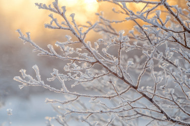 Similar image 22421730