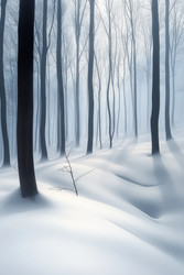 Similar image 22421740