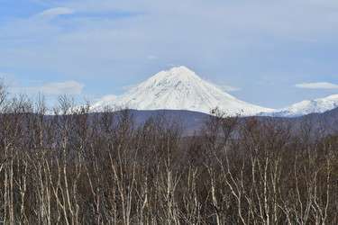 Similar image 22454619