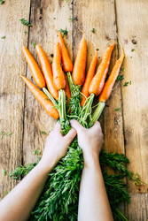 Similar image 22460817