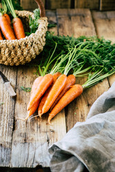 Similar image 22460839