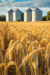 Similar image 22421920