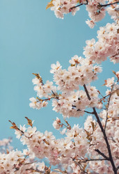 Similar image 22468736