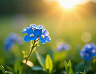 Similar image 22468798