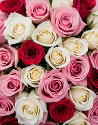 Similar image 22468843