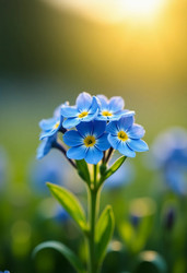 Similar image 22468856