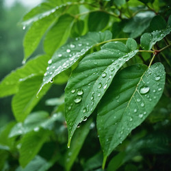 Similar image 22468966