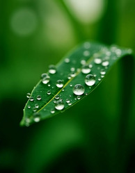 Similar image 22468770