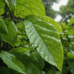 Similar image 22468800