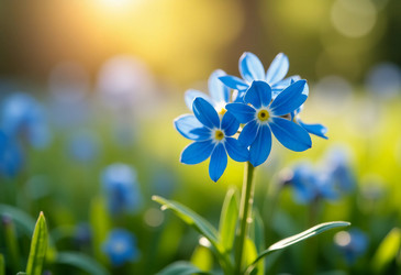 Similar image 22468858