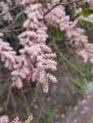 Similar image 22453822