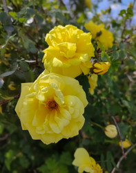 Similar image 22453823