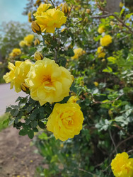 Similar image 22453824