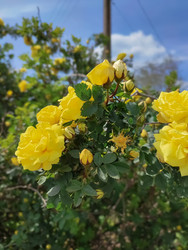 Similar image 22453825