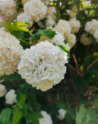 Similar image 22453827