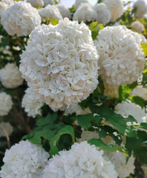 Similar image 22453828