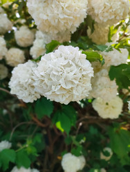 Similar image 22453829