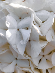 Similar image 22453830