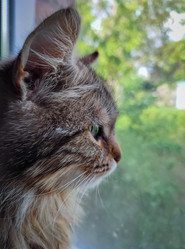 Similar image 22453832