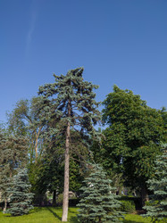 Similar image 22452366