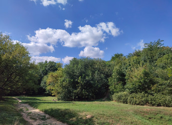 Similar image 22452369