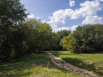 Similar image 22452370