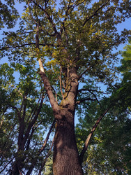 Similar image 22453835