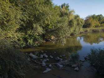 Similar image 22452371