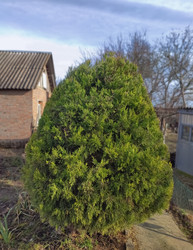 Similar image 22452373